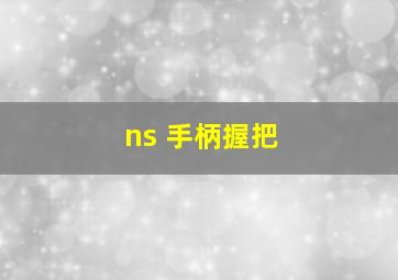 ns 手柄握把